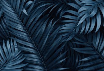 The primary subject of the image is a close-up of a blue leaf with a pattern of black and blue. The leaf is the main focus of the image, and it is set against a dark blue background. The visual style of the image is a close-up of a single leaf, which gives it a more intimate and detailed appearance. The colors and mood of the image are predominantly dark and moody, with the blue leaf standing out against the dark blue background.
