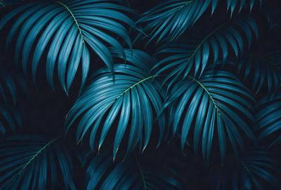 The primary subject of the image is a close-up of a large blue palm tree. The setting is a dark background, which contrasts with the vibrant blue color of the palm tree. The visual style is a photo, capturing the details of the palm tree. The colors and mood of the image are predominantly blue, creating a serene and calming atmosphere.