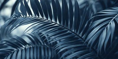 The primary subject of the image is a large green leaf, which is the main focus of the scene. The leaf is prominently displayed in the foreground, with a blue background that adds a sense of depth and contrast to the image. The visual style of the image is a close-up of the leaf, showcasing its intricate details and textures. The colors and mood of the image are predominantly green and blue, creating a serene and natural atmosphere.