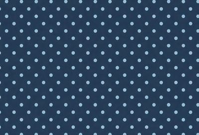 The primary subject of the image is a pattern of blue dots on a blue background. The setting is a dark blue background with white dots, creating a visually striking contrast. The visual style is a digital art or illustration, as the dots are evenly spaced and the background is consistent. The colors and mood of the image are predominantly dark blue and white, giving it a calm and sophisticated appearance.
