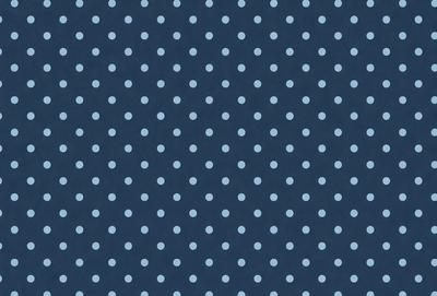 The primary subject of the image is a pattern of blue dots on a blue background. The setting is a dark blue background with white dots, creating a visually striking contrast. The visual style is a digital art or illustration, as the dots are evenly spaced and the background is consistent. The colors and mood of the image are predominantly dark blue and white, giving it a calm and sophisticated appearance.