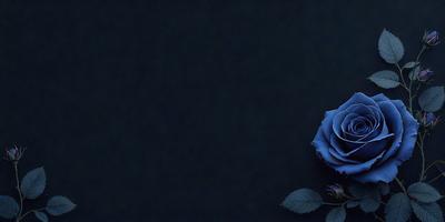 Primary subject: A single blue rose.

Setting/background: A dark, black background.

Visual style: A digital art or illustration.

Colors and mood: The blue rose stands out against the dark background, creating a striking and serene visual effect.