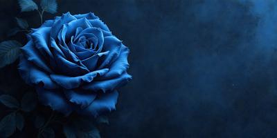 Primary subject: A single blue rose.

Setting/background: A dark blue background.

Visual style: Digital art.

Colors and mood: The blue rose stands out against the dark blue background, creating a striking and serene visual effect.