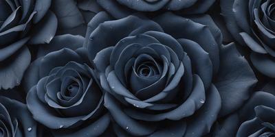 The primary subject of the image is a large, dark blue rose with a circular shape. The rose is the main focus of the image, and it is set against a blue background. The visual style of the image is a close-up of the rose, which gives it a more intimate and detailed appearance. The dominant colors in the image are blue and black, creating a calm and serene atmosphere.