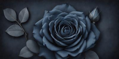 The primary subject of the image is a large, dark blue rose with a round center. The rose is prominently displayed in the foreground, with a black background that contrasts with the vibrant blue hue of the flower. The visual style of the image is a close-up, black and white photograph of the rose, emphasizing its striking color and intricate details. The overall atmosphere of the image is elegant and timeless, with the dark blue rose serving as a striking focal point.