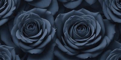 The primary subject of the image is a close-up of two blue roses. The setting is a dark background, which emphasizes the vibrant color of the roses. The visual style is a black and white photo, giving the image a classic and timeless appearance. The dominant colors are blue and black, creating a serene and elegant mood.