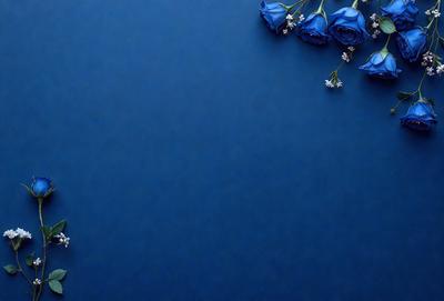 The primary subject of the image is a blue background with a few white flowers scattered across it. The setting appears to be a simple, clean environment, with no other objects or distractions visible. The visual style of the image is a close-up of the flowers on the blue background, creating a sense of depth and focus. The colors in the image are predominantly blue and white, giving the scene a calm and serene atmosphere.
