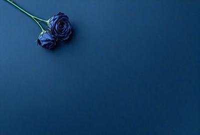 The primary subject of the image is a single blue rose. The setting is a blue background, which creates a striking contrast with the blue rose. The visual style is a close-up of the rose, emphasizing its beauty and color. The dominant colors are blue and purple, giving the image a calm and serene atmosphere.