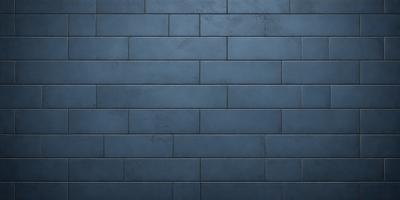 The primary subject of the image is a blue brick wall. The setting is a room with a blue brick wall as the main focus. The visual style is a photo, and the dominant colors are blue and gray. The overall atmosphere is calm and serene.