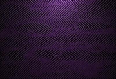 The primary subject of the image is a purple wall with a pattern of black and white stripes. The setting is a room with a purple wall, and the visual style appears to be a patterned wallpaper. The dominant colors are purple and black, creating a bold and striking atmosphere.