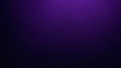 Purple background with a single dot in the corner.