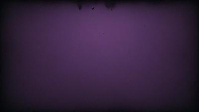 The image is a purple background with a black and white bird flying in the sky. The bird is positioned towards the top right corner of the image. The purple background creates a calm and serene atmosphere, while the bird adds a touch of movement and life to the scene.