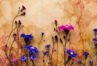 The primary subject of the image is a group of colorful flowers, including purple, blue, and pink, arranged in a vase. The flowers are placed against a yellow wall, which adds a contrasting color to the scene. The visual style of the image is a close-up of the flowers, showcasing their vibrant colors and details. The overall atmosphere of the image is lively and cheerful, with the flowers serving as a focal point and a source of natural beauty.