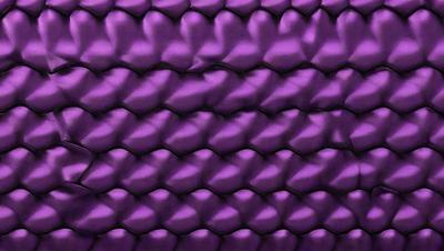Purple, Purple, Purple.
