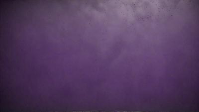 The primary subject of the image is a purple sky with a few birds flying in it. The setting is a cloudy sky, and the visual style appears to be a photo. The dominant colors in the image are purple and gray, creating a somewhat moody atmosphere.