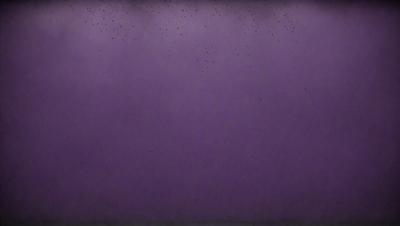 Purple wall with black spots.