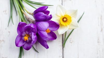 The primary subject of the image is a bouquet of purple and white flowers. The flowers are arranged in a vase, and they are placed on a white surface, which could be a table or a wall. The visual style of the image is a photo, capturing the beauty of the flowers in their natural setting. The colors of the flowers are predominantly purple, with some white accents, creating a serene and elegant atmosphere.