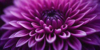 The primary subject of the image is a purple flower with a pink center. The flower is the main focus of the image, and it is set against a purple background. The visual style of the image is a close-up of the flower, showcasing its details and texture. The dominant colors in the image are purple and pink, creating a calm and serene atmosphere.