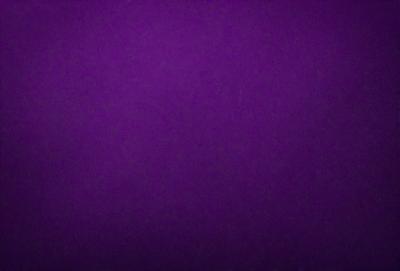 Purple background with no visible objects or people.