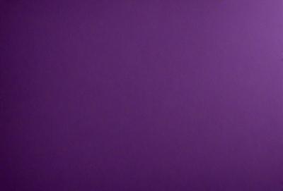 Purple wall, purple background, purple setting, purple visual style.