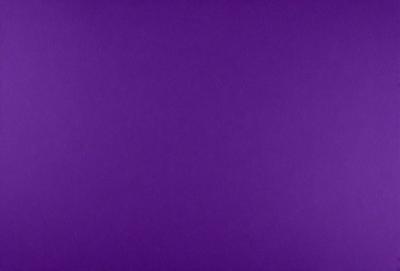 Purple background with no visible objects or textures.