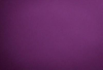 Purple wall with a purple background.