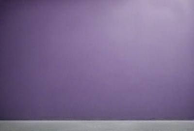 The primary subject of the image is a purple sky, which creates a dramatic and moody atmosphere. The setting is a vast expanse of water, with a large body of water visible in the background. The visual style of the image is a photo, capturing the beauty of the purple sky and the vastness of the water. The colors and mood of the image are dominated by the purple hue, which evokes a sense of mystery and serenity.