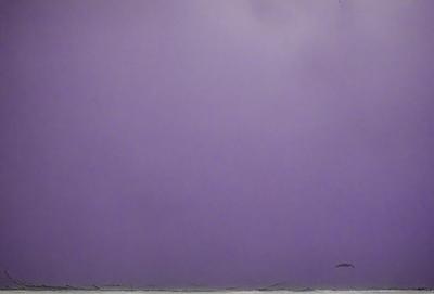 The primary subject of the image is a purple wall. The setting is a room with a purple wall, and the visual style is a photo. The dominant colors are purple and gray, creating a calm and serene atmosphere.