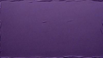 The primary subject of the image is a purple surface, which appears to be a piece of cloth or a wall. The setting/background consists of a purple background, which creates a unique and visually striking scene. The visual style of the image is a close-up of the purple surface, showcasing its texture and color. The colors and mood of the image are predominantly purple, giving it a calm and serene atmosphere.