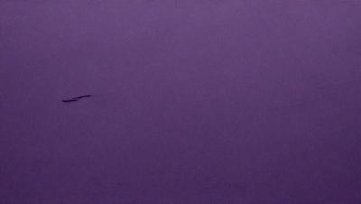 The primary subject of the image is a long, thin, and possibly elongated object, which appears to be a bird or a snake-like creature. The setting is a large body of water, possibly an ocean or a lake, with a purple hue to the background. The visual style of the image is a combination of photo and digital art, creating a unique and intriguing scene. The colors and mood of the image are predominantly purple, giving it a serene and mysterious atmosphere.