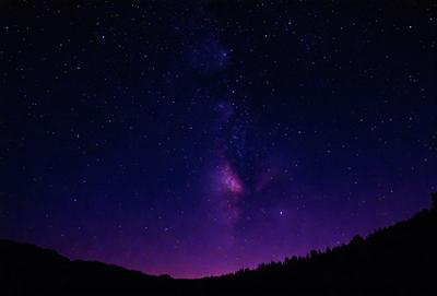The primary subject of the image is the night sky filled with stars. The setting is a dark, clear night with a few trees visible in the background. The visual style is a photo of the night sky, capturing the beauty of the stars and the vastness of the universe. The colors and mood of the image are predominantly dark and serene, with the stars providing a sense of wonder and tranquility.