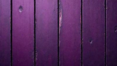 Purple wood, purple wood, purple wood, purple wood, purple wood, purple wood, purple wood, purple wood, purple wood, purple wood, purple wood, purple wood, purple wood, purple wood, purple wood, purple wood, purple wood, purple wood, purple wood, purple wood, purple wood, purple wood, purple wood, purple wood, purple wood, purple wood, purple wood, purple