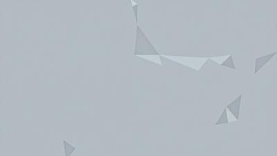 The primary subject of the image is a large, white, geometric pattern. The pattern is displayed on a gray background, creating a visually striking contrast. The visual style of the image is a combination of digital art and illustration, as the geometric pattern is intricately designed and displayed. The colors and mood of the image are predominantly gray and white, giving it a clean and modern appearance.