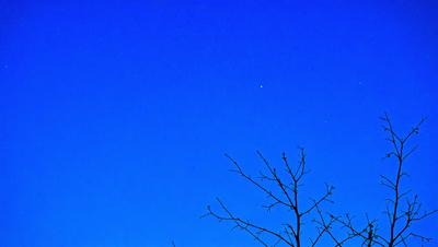 The primary subject of the image is a tree with no leaves, set against a blue sky. The tree is located in the foreground, and the sky is visible in the background. The visual style of the image is a photo, capturing the natural beauty of the tree and the sky. The colors and mood of the image are predominantly blue, creating a serene and peaceful atmosphere.