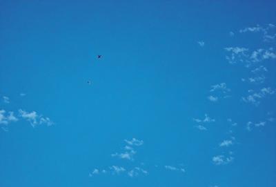 The primary subject of the image is a bird flying in the sky. The bird is positioned in the middle of the scene, soaring above the clouds. The setting is a clear blue sky, which provides a beautiful backdrop for the bird's flight. The visual style of the image is a photo, capturing the bird in its natural environment. The colors in the image are predominantly blue, with the sky and clouds being the main colors. The overall atmosphere of the image is serene and peaceful, as the bird grace