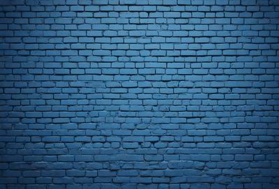 The primary subject of the image is a blue brick wall. The setting is a brick wall, and the visual style is a photo. The dominant colors are blue and white, creating a calm and serene atmosphere.