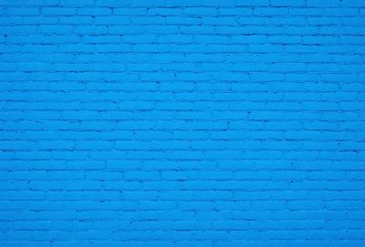 The primary subject of the image is a blue brick wall. The setting is a brick wall, and the visual style is a photo. The dominant colors are blue and white, creating a calm and serene atmosphere.