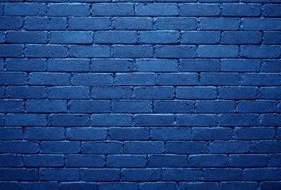 The primary subject of the image is a blue brick wall. The setting is a brick wall, and the visual style is a photo. The dominant colors are blue and white, creating a calm and serene atmosphere.