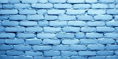 The primary subject of the image is a blue brick wall. The setting is a blue brick wall, and the visual style is a photo. The dominant colors are blue and white, creating a calm and serene atmosphere.