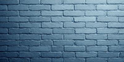 The primary subject of the image is a blue brick wall. The setting is a brick wall, and the visual style is a photo. The dominant colors are blue and grey, creating a calm and serene atmosphere.