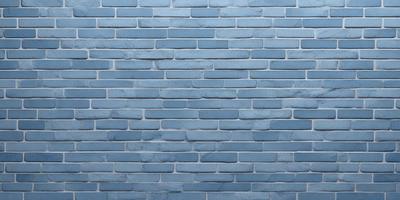 The primary subject of the image is a blue brick wall. The setting is a room with a blue brick wall as the main focus. The visual style is a photo, and the dominant colors are blue and white. The overall atmosphere is calm and serene.