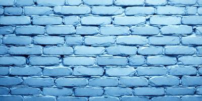 The primary subject of the image is a blue brick wall. The setting is a blue brick wall, and the visual style is a photo. The dominant colors are blue and white, creating a calm and serene atmosphere.