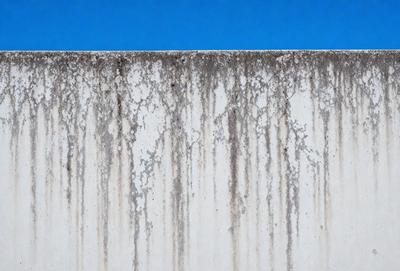 The primary subject of the image is a wall with a lot of mold and mildew on it. The setting is an outdoor environment, with a blue sky visible in the background. The visual style is a photo, capturing the details of the moldy wall. The colors and mood of the image are predominantly dark and dull, with the mold and mildew creating a sense of decay and neglect.