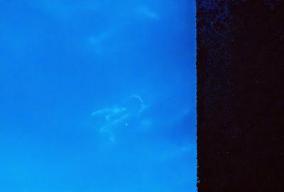The primary subject of the image is a person flying through the sky. The setting is a clear blue sky, and the visual style appears to be a photo. The colors are predominantly blue, and the mood is serene and peaceful.