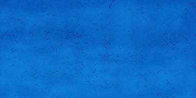 The primary subject of the image is a large flock of birds flying in the sky. The birds are scattered throughout the scene, with some flying closer to the viewer and others further away. The setting is a blue sky, which provides a contrasting backdrop for the birds. The visual style of the image is a photo, capturing the birds in their natural environment. The colors in the image are predominantly shades of blue, creating a calm and serene atmosphere.