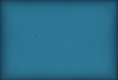 The primary subject of the image is a single, small, black dot in the middle of a clear blue sky. The sky is the setting, and it appears to be a photo of the sky. The visual style is realistic, and the colors and mood are calm and serene.