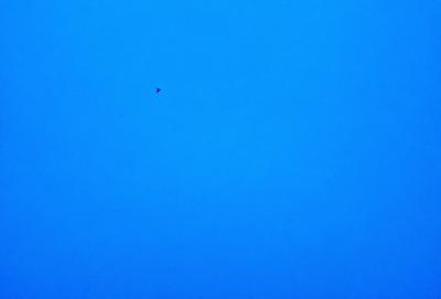 The primary subject of the image is a bird flying high in the sky. The bird is positioned towards the left side of the image. The setting is a clear blue sky, which provides a beautiful backdrop for the bird's flight. The visual style of the image is a photo, capturing the bird in its natural environment. The colors and mood of the image are predominantly blue, creating a serene and peaceful atmosphere.