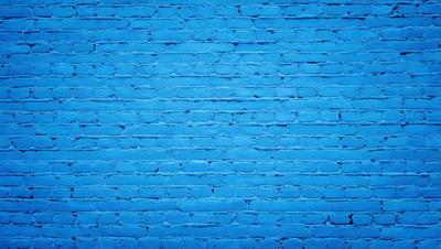 The primary subject of the image is a blue brick wall. The setting is a brick wall, and the visual style is a photo. The dominant colors are blue and white, creating a calm and serene atmosphere.