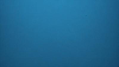 The primary subject of the image is a large, open, and dark blue sky. The setting is a vast, empty space with no visible landmarks or objects. The visual style is a natural, untouched, and unaltered representation of the sky. The colors and mood convey a sense of tranquility and vastness.