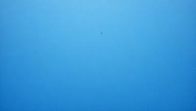 The primary subject of the image is a small red dot in the middle of a blue sky. The setting is a vast, open sky with no clouds or other objects visible. The visual style is a simple, clean representation of the sky and the red dot. The colors and mood of the image are predominantly blue, with the red dot adding a touch of contrast and interest.